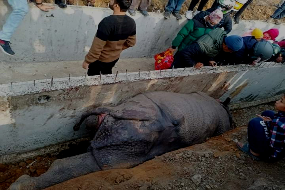 निर्माण व्यवसायीलाई पक्राउ पुर्जी जारी गरिएकोमा लुम्बिनी निर्माण व्यवसायी संघको आपत्ति